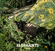 The Elephants. Colors. /подарункове, eco-pack/.