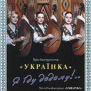 Trio of bandura player "Ukrainka". Ja jidu dodomu!.. (I am going home!..)
