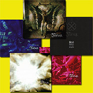 Collection "Fleur. Albums". 5 CDs.