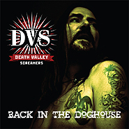 DVS. Back in the Doghouse.